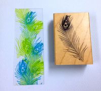 IMG_2632 IMG_2632